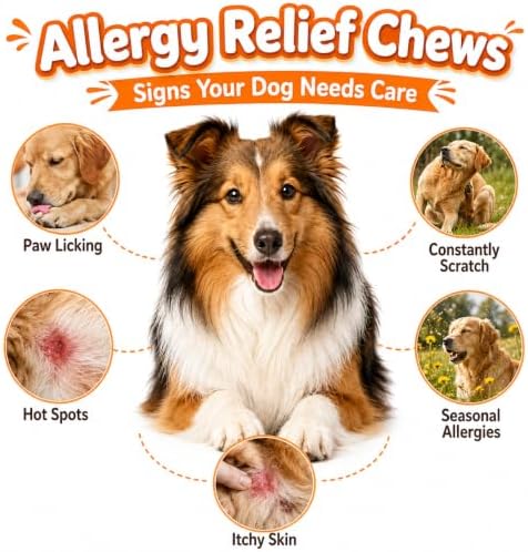 Dog Allergy Chews 200 Ct - Itch Relief for Dogs Immune Support with Colostrum Probiotics Seasonal Allergies Anti-Itch Skin & Coat Supplement, Itchy Skin & Paw Relief Bites - Chicken Flavor
