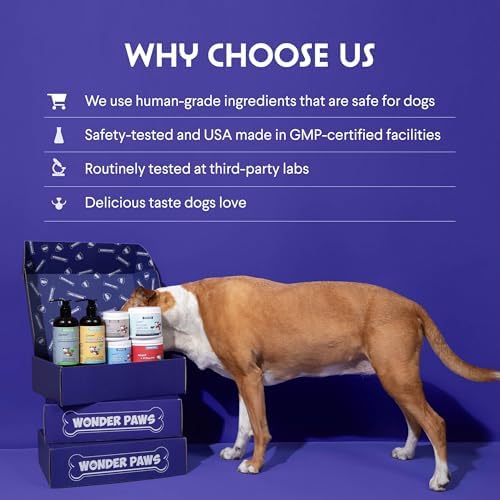 Wonder Paws Cardio Support for Dogs – Cardiovascular Chews Heart Health, Circulation, Energy & Weight Management - with L-Carnitine, Hawthorn Berry, Coenzyme Q10 & Taurine for Dogs – 90 Soft Chews