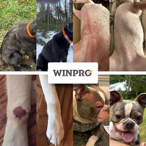 WINPRO Allergy Chews – Plasma-Powered Formula for Dog Seasonal Allergy Support – Grain-Free Natural Blood Protein Supplements – 60 Soft Chews (1 Canister)