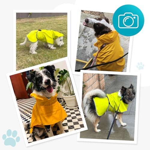 Dog Raincoat,Dog Rain Jacket Poncho with Hood and Leash Hole(Blue,2XL)