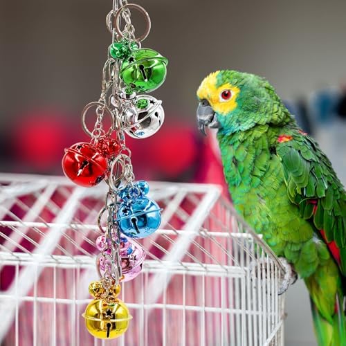 Oooct Bird Swing Bells Toys, Colorful Parrot Metal Bells, Hanging Bird Chewing Toys, Bird Cage Accessories, Suitable for Small to Medium Birds Budgie Lovebirds Conures Parakeets Cockatiels