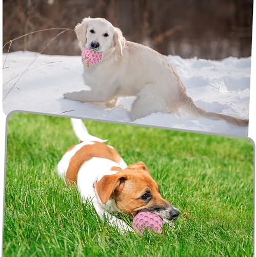 Tough Dog Chew Toys for Aggressive Chewers, Indestructible Dog Balls for Aggressive Chewers, Squeaky Balls for Dogs, Squeaky Toys for Large Dogs, Funny Heavy Duty Ball