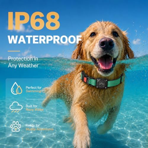 Geamen Waterproof Dog Collar QR Code Reflective Collar Teal,M | Built-in Waterproof Holder, QR Code Tag, Reflective,Secure Buckle