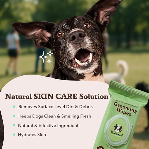 Natural Dog Company Eye & Grooming Wipes Bundle for Dogs – Tear Stain Remover & Full-Body Deodorizing Wipes with Green Tea, Goldenseal & Aloe – Hypoallergenic, Vegan – 100 ct + 50 ct