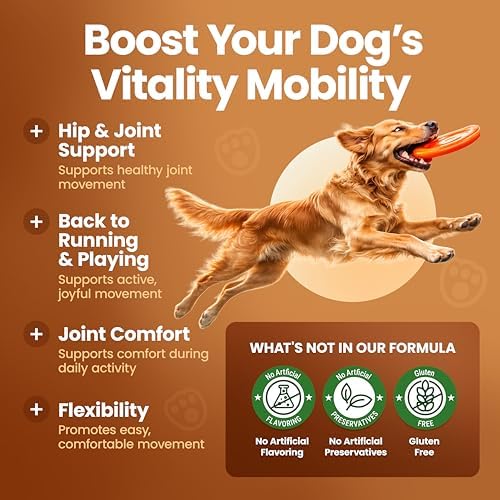 Glucosamine for Dogs Hip & Joint Supplement, Dog Glucosamine Chondroitin for Dogs, MSM & Turmeric – 120 Dog Joint Supplement Chews for Large & Small Breed