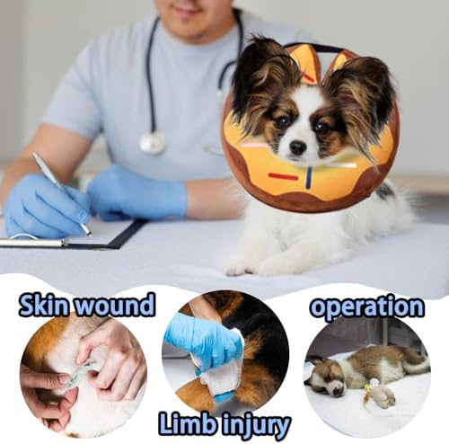Soft Inflatable Cone Recovery Collar for Dogs and Cats After Surgery