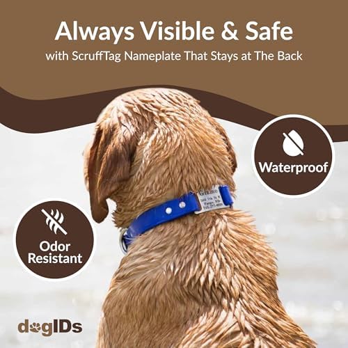 dogIDs Personalized Dog Collar – ScruffTag Custom Waterproof Biothane Dog Collar with Laser-Engraved Name, Durable & Odor-Resistant – USA Made | Purple, 3/4 in x 14 in (Fits Neck Sizes 12-16 in)