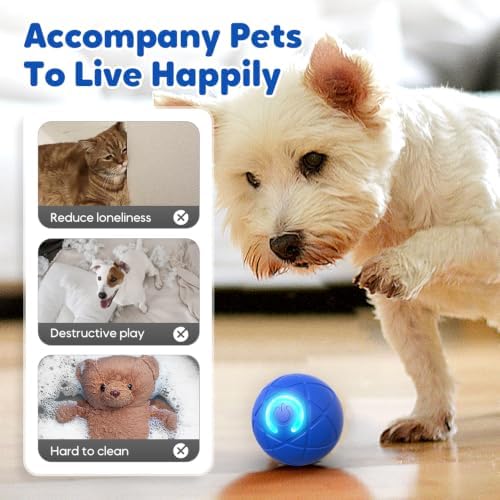 Interactive Small Dog Toy Ball, Smart Jumping Ball for Puppy Dogs, Activated Automatic Bouncing Moving Vibrating (Blue+Orange)