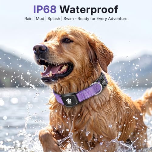 GPS Dog Collar with Tracker, Waterproof, No Monthly Fee, Purple, XS