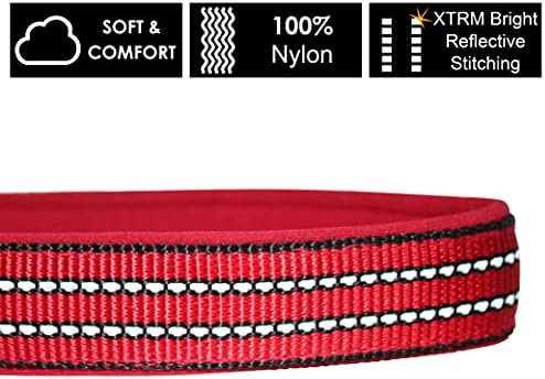 Dog Collar Bundle for Medium Dogs (Width- 3/4", Length - 17"-21.5") | Reflective Adjustable Raspberry Pink, & Blue Dog Collar | No-Choke Vest with Lightweight Reflective Air Mesh