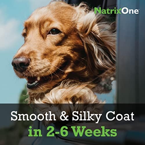 100% Pure Camelina Oil for Dogs, 16 oz - Dog Skin and Coat Supplement All-Natural Supplements, Support Hearts, Joints, Coats, Skin and Anti-inflammatory, Protective Care - Omega 3 by NatrixOne