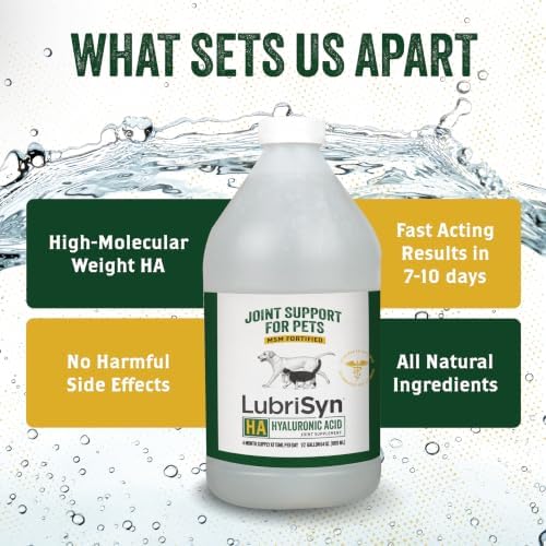 LubriSyn HA Hip & Joint Supplement Plus MSM for Dogs & Cats, 64 oz
