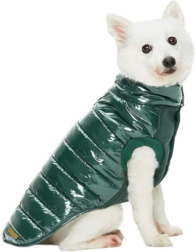 Blueberry Pet Cozy & Comfy Windproof Lightweight Quilted Fall Winter Glossy Dog Puffer Jacket in Hunter Green, Back Length 15.75", Size 14, Warm Coat for Medium Dogs