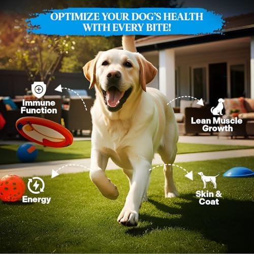 Healthy Dogma - PetMix Dehydrated Dog Food – Fish Dinner with Wild-Caught Alaskan Salmon & Whitefish – Gluten-Free, Skin & Coat Support, Clean Ingredient Dog Food – No Preservatives, (2 lbs)