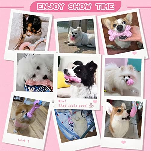 Petcare 6 Pack Puppy Chew Toys for Teething Cute Pink Puppy Toys Small Dog Toys Soft Rubber Rope Dog Toys Funny Bone Ball Cleaning Teeth Dog Chew Toys Puppy Teething Toys for Puppies Yorkie