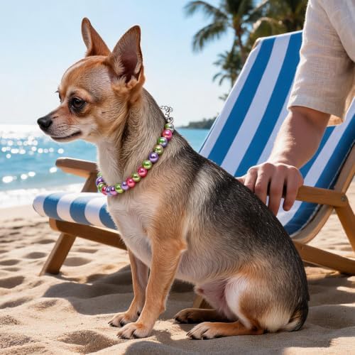 Big Pearl Dog Collar,Strong Stainless Steel Wire Rope