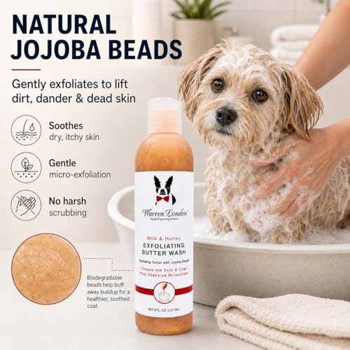 Warren London Exfoliating Butter Wash – Milk & Honey Dog Shampoo, 1-Gallon Pro Size | Cleans, Exfoliates & Deep-Conditions | Jojoba Beads Remove Dandruff & Itch | Dilutable, Non-Oily Shine | USA Made