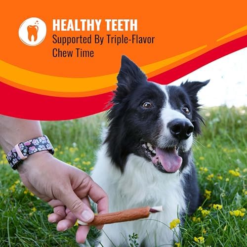 Good 'n' Fun Roll Long-Lasting Dog Treat for Large Dogs, 6 Count
