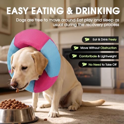 Dog Cone, Soft Cone for Dogs to Stop Licking