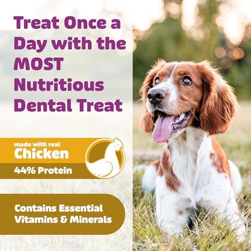 Yummy Combs Dog Dental Treats – Vet VOHC Approved – Delicious Chicken Protein – Removes Tartar with Cleaning Comb Shape – Dental Dog Treats for Medium Dogs (12oz, 15 Count)