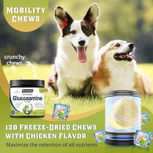 DRFOSTER Glucosamine for Dogs, Chicken Flavor, 120 Freeze-Dried Chews