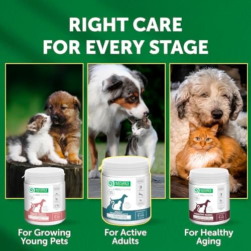 Nature's Protection Bones & Energy Supplement Powder for Adult Dogs, 9oz
