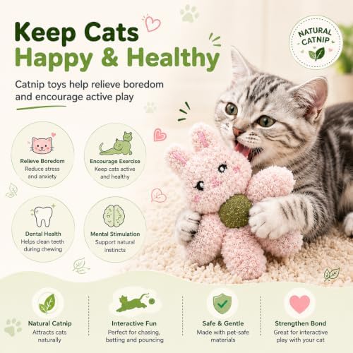 Plush Catnip Toys for Indoor Cats, Interactive Kitten Chew Toys for Teething & Dental Care, Durable Nylon Animal Shape Kicker Toy with Natural Catnip Ball for Boredom Relief (Bear)