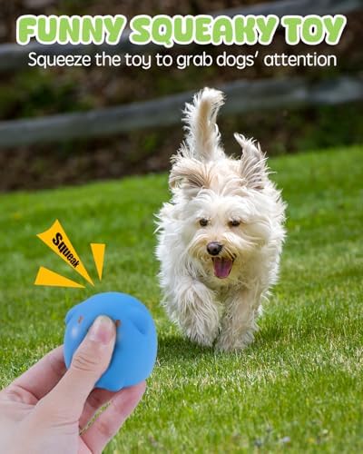 SCHITEC Dog Toys Squeaky, Interactive Animal Puppy Toy Pack, Cute Latex Rubber Squeak Pet Balls for Puppies Mini Small Breed Dogs
