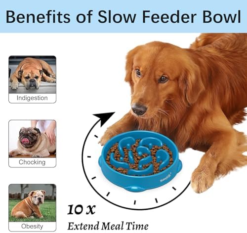 MateeyLife 1-Pack Slow Feeder Dog Bowls, 4 Cups, Dog Puzzle Feeder Bowl