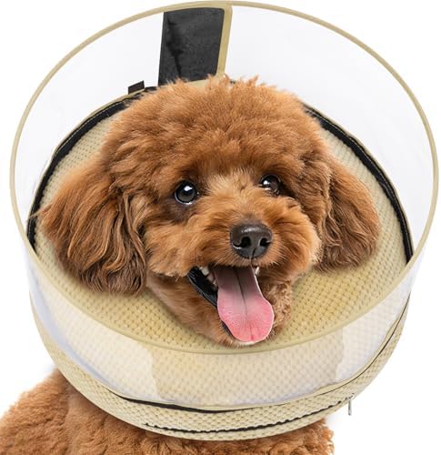 Inflatable Dog Cone with Clear Shield for Added Coverage
