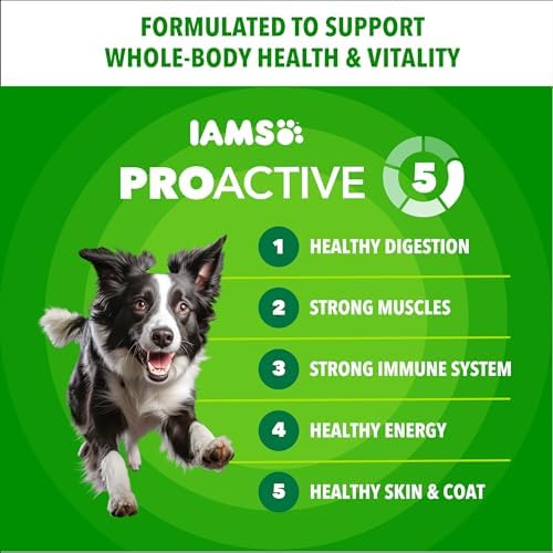 IAMS Proactive Health Adult Minichunks Dry Dog Food, Chicken, 40 lb