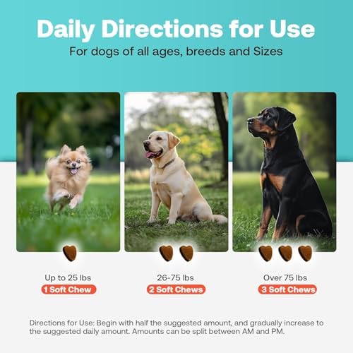 Joint Supplement for Dogs with Chondroitin and Glucosamine for Dogs Joint Health, MSM, Green Lipped Mussel, Turmeric, Omega 3 for Dog Joint Pain Relief, 60ct