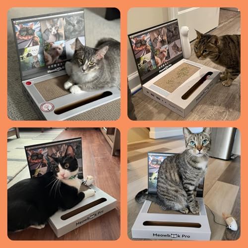 Cat Scratcher Laptop Cat Toy with 'Mouse' Jingle Ball, Stickers