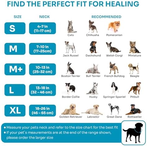 Dog Inflatable Neck Collar - Inflatable E Collar for Dogs - Comfortable Elizabethan Cone with Detachable Anti-Licking Shield - Dog Donut Cone - Doughnut for Dogs After Surgery (Blue, M)