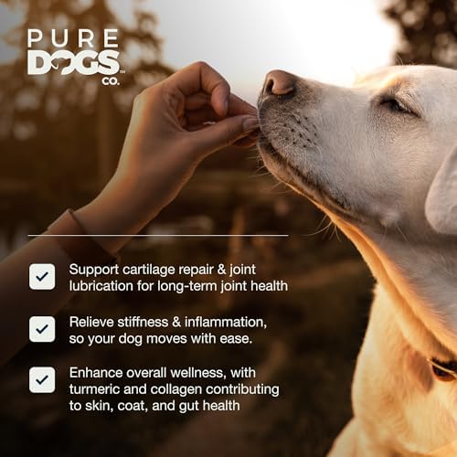 Hip & Joint Dog Chews, Glucosamine & Green Lipped Mussel, 90 Count
