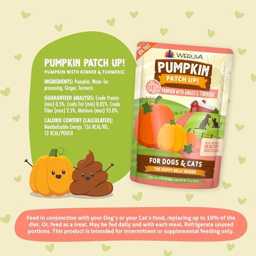 Weruva Pumpkin Patch Up!, Pumpkin with Ginger & Turmeric for Dogs & Cats, 2.8oz Pouch (Pack of 12)