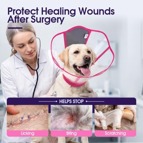 Dog Cone Collar After Surgery, Clear Recovery Collar to Stop Licking