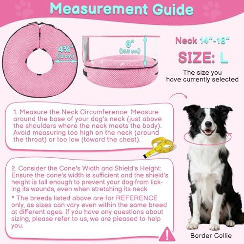Inflatable Dog Cone with Clear Shield for Added Coverage