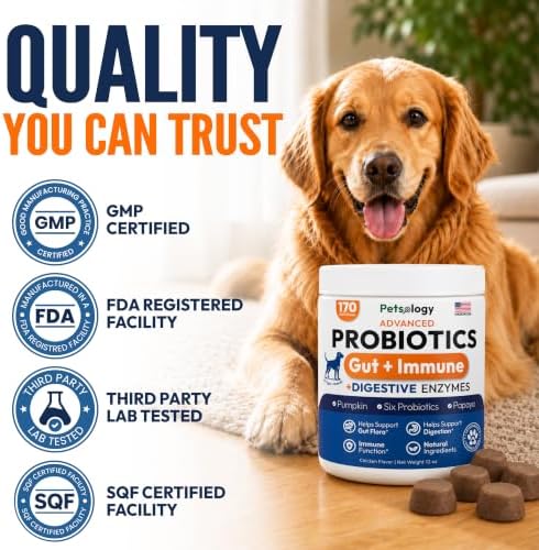 Probiotics for Dogs - 170 Dog Probiotics Chews - Digestive Enzymes Support