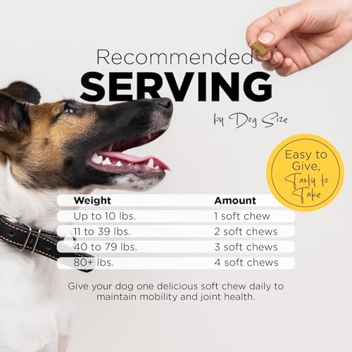 PetJoy Mobility Chews for Dog Arthritis Pain Relief - Hip and Joint Supplement for Dogs Senior and Large Breeds Glucosamine Chondroitin Joint Health Support (60 Chewable Bacon Treats)