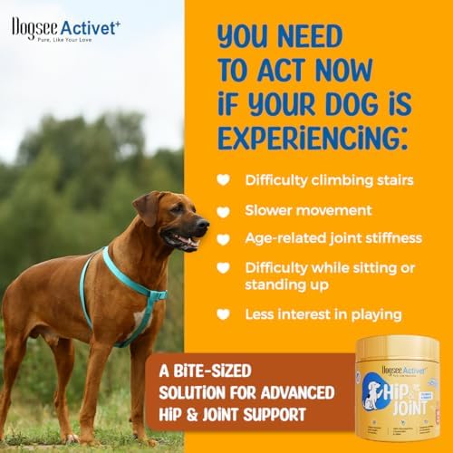 Dogsee Activet+ Hip & Joint Supplement Dog with Omega-3, Glucosamine, Chondroitin, MSM & Collagen for Dogs, Dasuquin, Joint Pain Relief - 90 Count - Made in USA