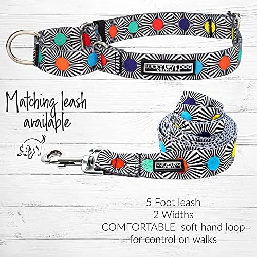 Lucky Love Dog Martingale Collar and Leash Set for Small Dogs – SOCO, Small