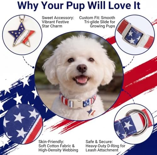 American Flag Dog Collar, Patriotic Dog Collar for Boys Girls Dog, Adjustable Puppy Collar with Star Pattern for 4th of July Occasion & Daily Walking, Fits Small Breeds