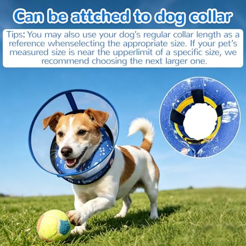 Inflatable Dog Cone Collar with Anti-Licking Clear Shield, for Dogs Cats
