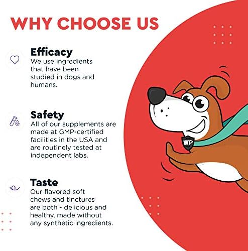 WONDER PAWS Heart + Vitality Superhero Chews Plus Omega Max Fish Oil - for Dogs Heart Health, Skin and Joint Care & Immune Support - Heart + Vitality 90 Chews - Omega Max 16 Ounces