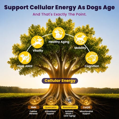 VUN Senior Dog NAD+ Longevity Supplement,NMN Healthy Aging Chews for Dogs