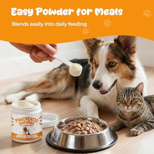 Pancreatic Enzymes for Dogs, EPI Support with Porcine Pancreatin Powder