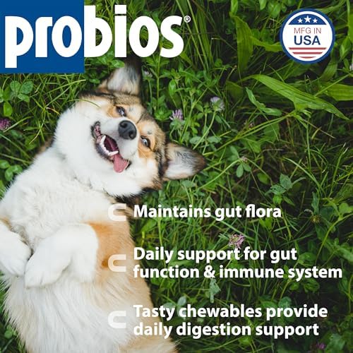 Probios Digestive Support Dog Chewables, 1 lb, 3-Pack