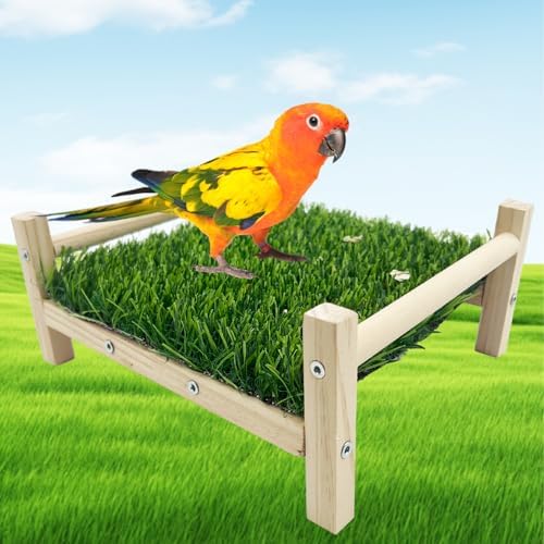 Bird Toy with Foraging Mat, Parrot Forage Toy Bed, Parrot Grass Perch Hammock Bed, Bird Perch Conure Platform Grass Forage Toy for Parakeet, Cockatiel, Lovebird, Budgie