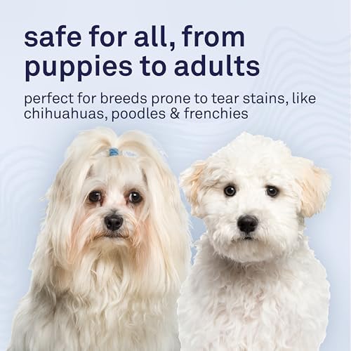 Petpost Tear Stain Remover Soft Chews for Dogs | 90 Count Chicken Flavor Dog Tear Stain Support Supplement | Gentle Eye Care for White Dogs & Light Breeds | Tylosin Free, Made in USA